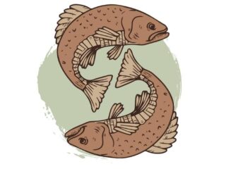 Риби-блоґери: повний гороскоп успіху, вибір теми та секрети просування