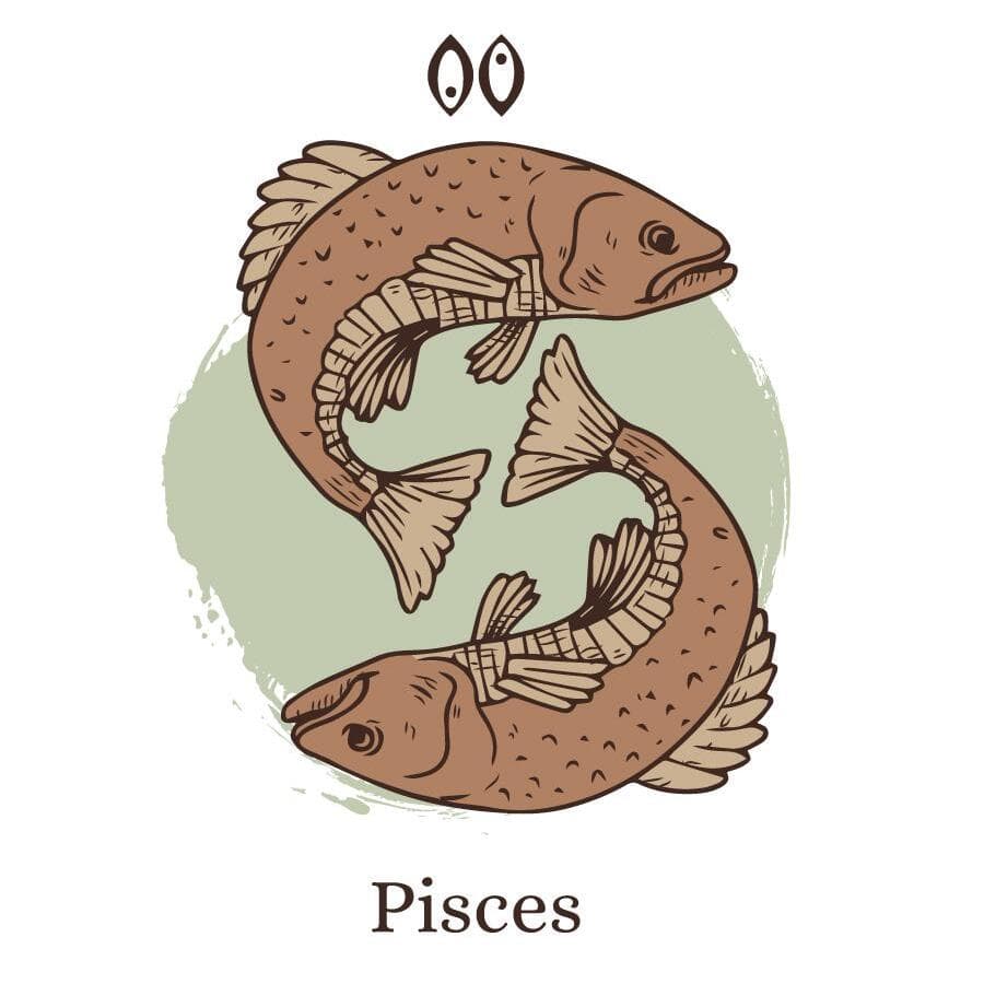 Риби-блоґери